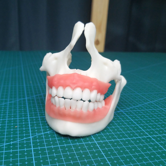 Фотополимерная смола Resione F80 Flex Dental Gum гибкая, цвет десны (0.5 кг) Фотополимерная смола Resione F80 Flex Dental Gum гибкая, цвет десны (0.5 кг)