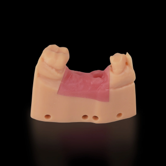 Фотополимерная смола Resione F80 Flex Dental Gum гибкая, цвет десны (0.5 кг) Фотополимерная смола Resione F80 Flex Dental Gum гибкая, цвет десны (0.5 кг)