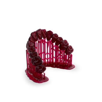 Фотополимерная смола HARZ Labs Dental Cast Cherry Form2, вишневый (1 кг)