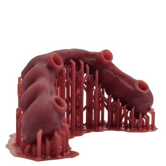 SMOLA Dental Wax Cast восковой фотополимер, красный (0.5 кг) SMOLA Dental Wax Cast восковой фотополимер, красный (0.5 кг)
