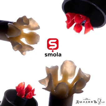 SMOLA Dental Wax Cast восковой фотополимер, красный (0.5 кг) SMOLA Dental Wax Cast восковой фотополимер, красный (0.5 кг)